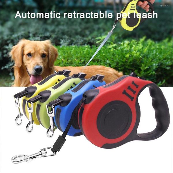 Collari per cani Guinzaglio 3M/5M Nylon durevole Prolunga retrattile automatica Cucciolo Camminare Correre Roulette per animali domestici