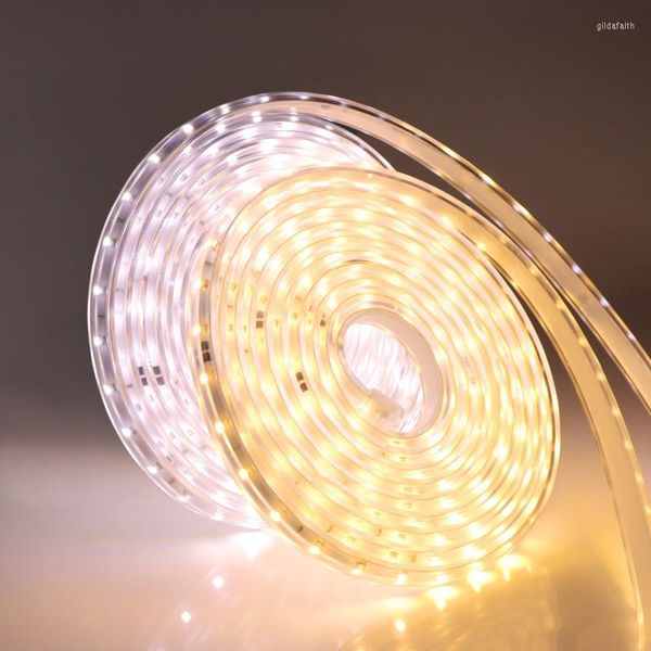 Strisce LED Strip Light 110V 220V 2835 Lampada impermeabile Alta luminosità 120LEDs/m Cucina flessibile Luci da giardino per esterni con PlugLED