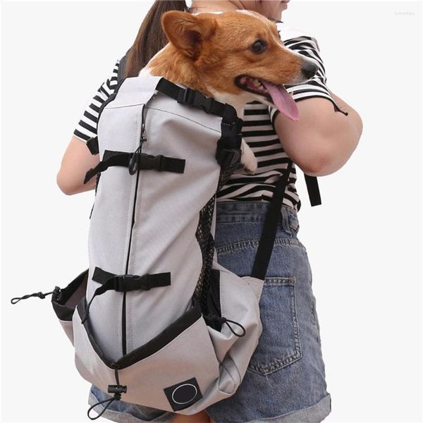 Hunde-Autositzbezüge, universeller Haustiertransport, Rucksackreisen, Wandern, tragbarer Aufbewahrungsrucksack, verstellbarer Rucksack, Netzstoff, Blau, M