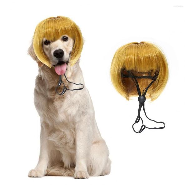 Abbigliamento per cani Parrucche per animali domestici Oggetti di scena per cosplay Set di capelli per travestimenti per gatti Pografia Accessori per la testa divertenti Forniture per scherzi Drop