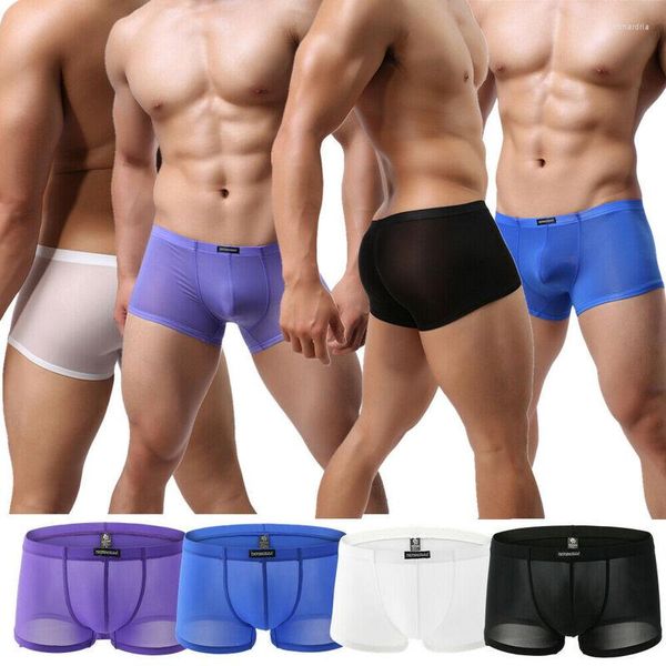 Underpants 1/4pcs homens transparentes calças de roupas íntimas sensuais sexy shorts boxer masculino malha de baixa ascensão lança homme calça calçada de banho de banho de banho