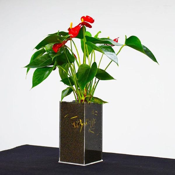 Vasos Material acrílico Vaso Vaso Flor Desktop Transparência Plástico por atacado