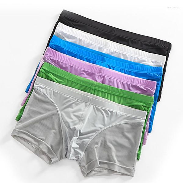 Underpants homens boxer shorts Ultra-fino Mesh respirável Roupa Deales Calzoncillos Boxershort Calecon Homme Gay Panties Cueca Slip Hombre troncos