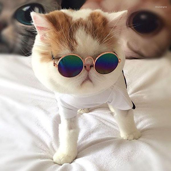 Vestuário de cachorro cool coft gato copos de proteção ocular moda óculos de sol filhote de filhote de filho