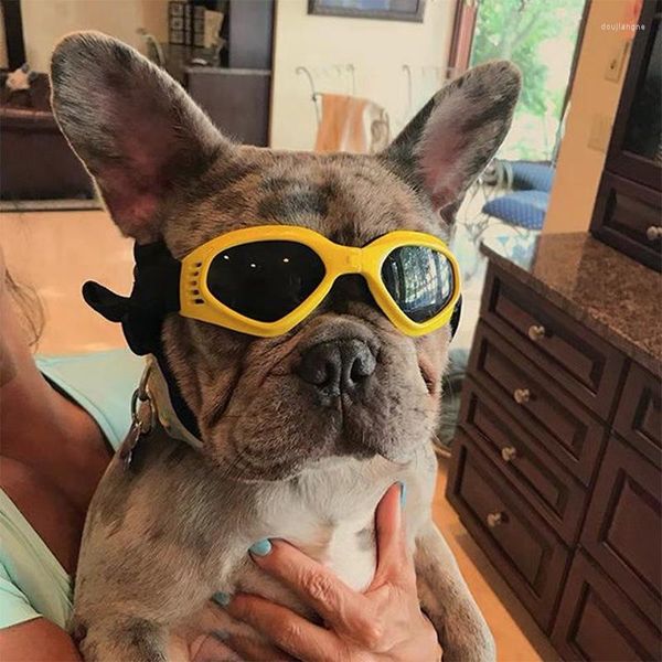 Vestuário para cães 6 cores óculos oculares Prevenção ao ar livre Proteção do vento Proteção solar protetor solar UV Goggles de óculos