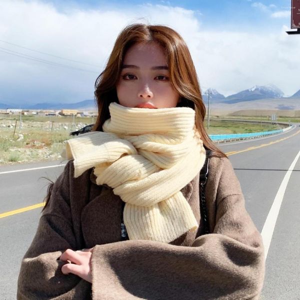 Schals 2023 Koreanische Herbst und Winter Quaste Rosa Schal Warp Gestrickte Plaid Verdickte Wärme Eingewickelt Mit Kälte Beweis Schal