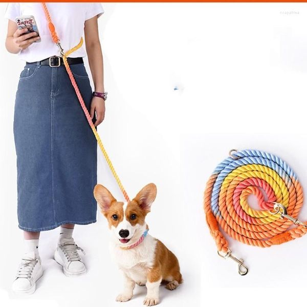 Colarinhos de cachorro cor cordão de cor com faixa de estimação dupla, coleira ajustável dois treinamento na corda