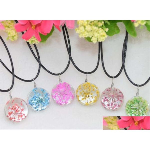 Collane con ciondolo Pianta Collana di fiori secchi Pizzo Palla di vetro Femmina Gsfn315 Con catena Mix Ordine Goccia Consegna Gioielli Pendenti Dhlfj