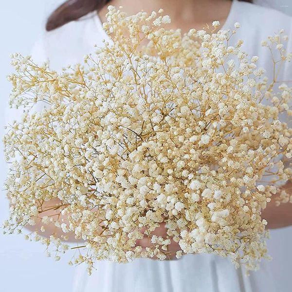 Fiori decorativi essiccati Babys Breath Bouquet Rami di gypsophila naturale bianco avorio per la decorazione domestica Vaso da tavola per matrimoni