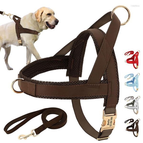 Collari per cani Imbracatura personalizzata Set di guinzagli Nessuna imbracatura regolabile Gilet per animali domestici per cani di taglia piccola e media Animali domestici che camminano Corda di piombo