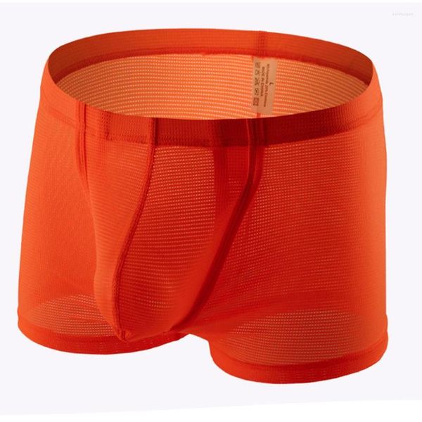 Unterhosen 2023 Männer Shorts U Convex Pouch Boxer Briefs Mesh Höschen Ausbuchtung Unterwäsche Niedrige Taille Badehose