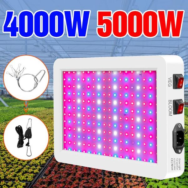 Luzes de cultivo LED de espectro completo 220V Lâmpada Fyto Light Hidropônico Crescimento UV Sementes de Flores de Flores de Estufa de UV 4000W 5000WGROW