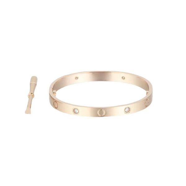 Modisches Schraubendreher-Armband, Roségold-Silber-Damen-Herren-Titanstahl-Diamant-Armband