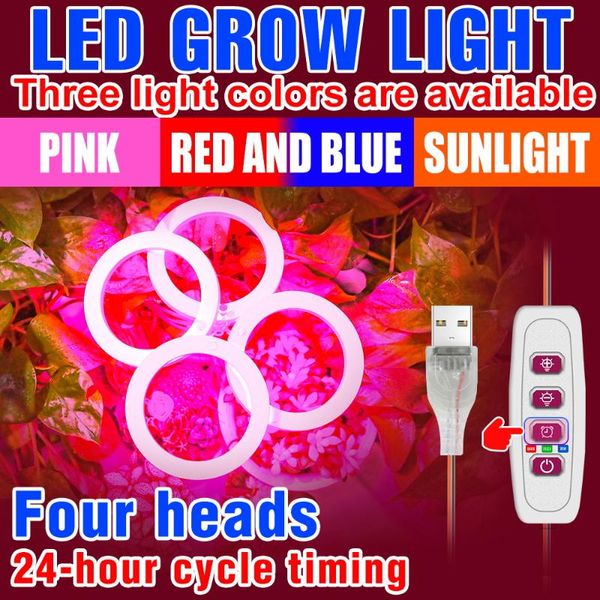 Luzes Grow Light Light Indoor Spectrum completo LED anjo anel Phyto Lâmpada Usb Tenda