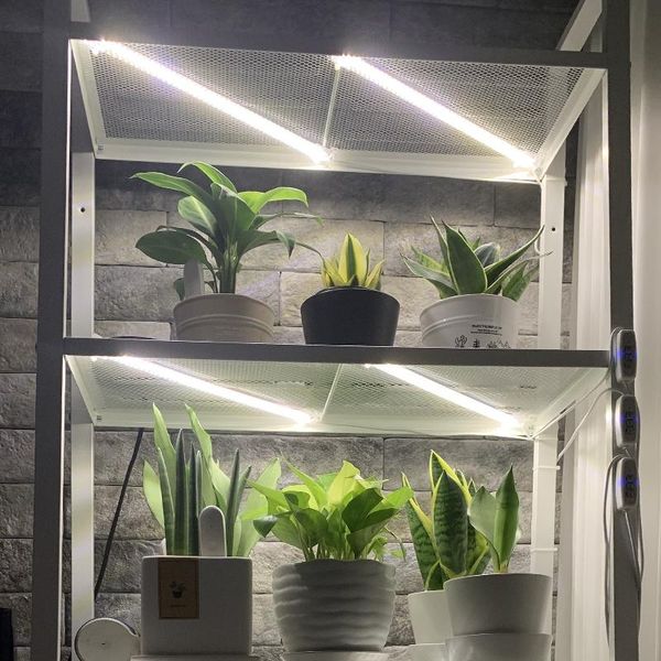 Grow Lights Indoor Phytolamp per piante di orchidee Timer Light Strips Phyto Lamp Seedlings Home Full Spectrum 5V White LED BarsGrow