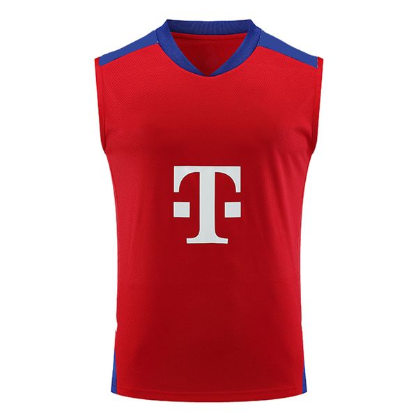 2023-2024 DAVIES MULLER Ropa de entrenamiento Camisetas de fútbol de manga corta KIMMICH GNABRY GORETZKA SANE COMAN MANE MUSIALA_voghion.com