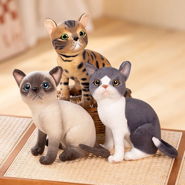 25CM Kawaii Simulazione Pet Cat Giocattoli di peluche Cartoon English Short Cat Calico Cat Plushie Dolls Peluche ripiene per regali per bambini