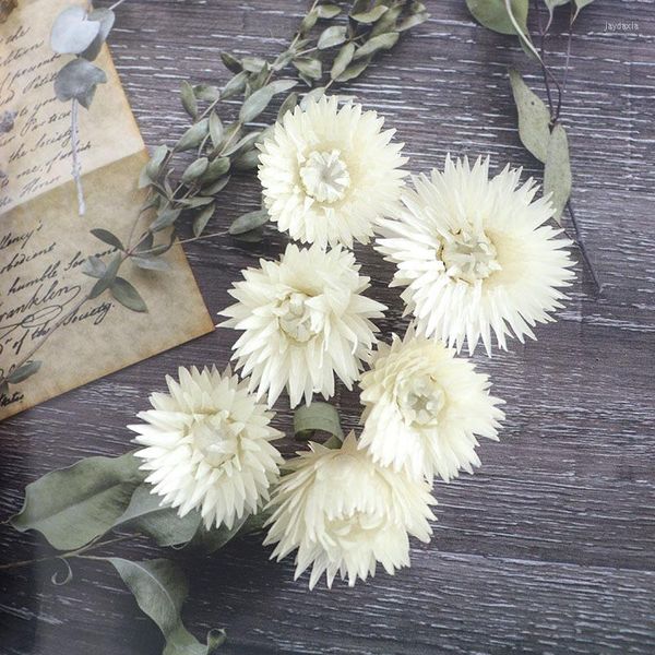 Flores decorativas 10g Dasy Snow Lotus Branco Mini Bouquet Homonia Diy Flor DIY Adereços de Pógraneo