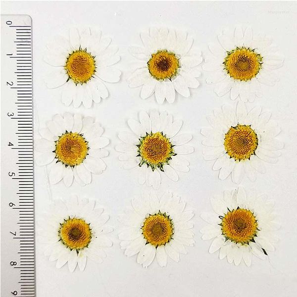 Dekorative Blumen färben weiße Chrysanthemendekorationen gepresste Blumen 3 verschiedene Größen Kostenloser Versand 1 Los / 120 Stück