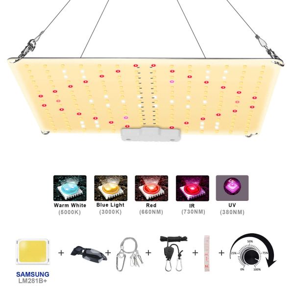 Grow Lights 600 Вт 800 Вт светодиодный свет выращивает свет с диодом Samsung Полный спектр тихая квантовая плата, используемая для внутренней тепличной палатки Hydroponic