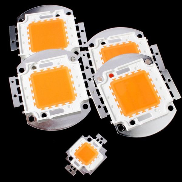 10W 20W 30W 50W 70W 80W 100W LED Chip LED Chip Integrated Spotlight Diy Street Flood Light 6500K 4000K 3000K para flores de flores DIY cultivando mudas de lâmpada