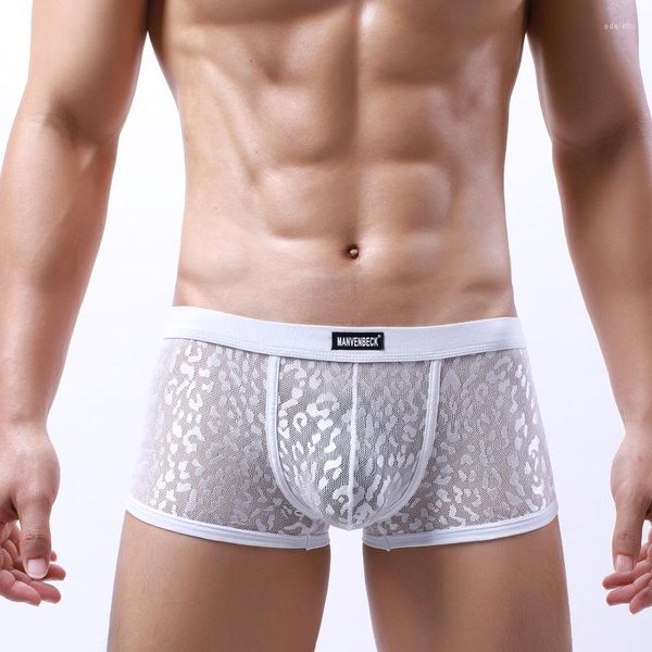 Cueca calcéia masculina baixa cintura sexy renda respirável boyshort u boxers de design convexo masculino pênis transparente