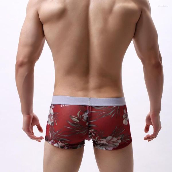Mutande Boxer da uomo Biancheria intima stampata sexy Pantaloncini trasparenti trasparenti Mutandine maschili Pene Gay Cueca morbido Regalo per Y01