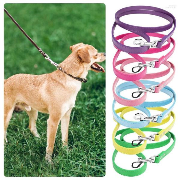 Collares de cachorro 1,2m PU Leather Leash Dogs Pet Lases Treinamento sólido para suprimentos de cachorro de corda de chumbo médio de grande pequeno chumbo