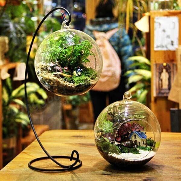 Вазы прозрачный цветок висящий шариковый ваза террариум контейнер боросиликатный стекло для сочной посадки микро -ландшафтная экологическая бутылка