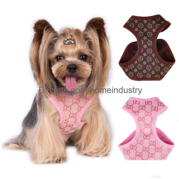 Hundehalsbänder, Leinen, Designer-Geschirr-Set, klassischer Jacquard-Schriftzug, Stepin-Geschirr, weiche Air-Mesh-Haustierweste für kleine Hunde, Katze, Tee, Dhloo