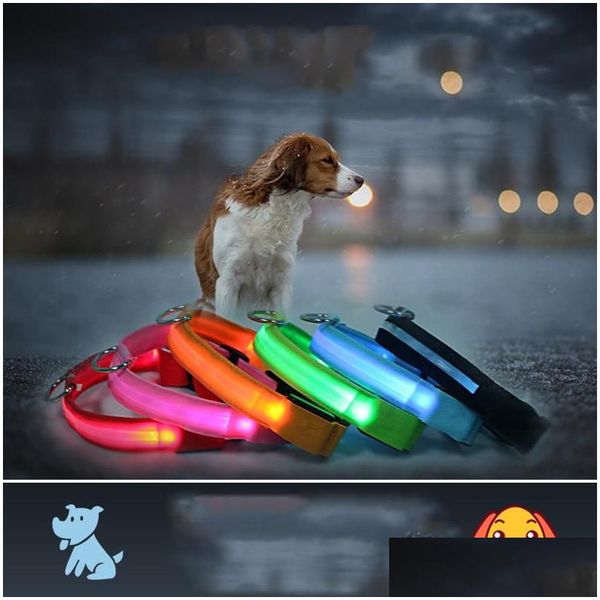 Collari per cani Guinzagli Led Guinzaglio Collare per animali Colorf Luce lampeggiante Forniture luminose Glow Etichetta di sicurezza Riflettente Notte Dh0177 Drop Deli Dh6J5