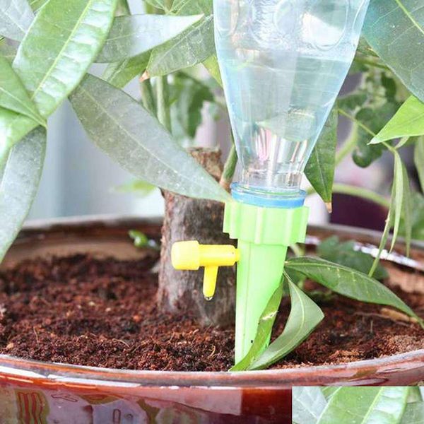 Водопольное оборудование матичное растение водолазка домашнее цветочное садовое устройство