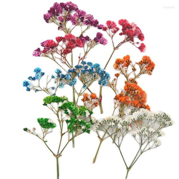 Dekorative Blumenprodukte, getrockneter Schleierkraut, mehrere Farben, kostenloser Versand, 1 Packung/10 Beutel (80 Stück)