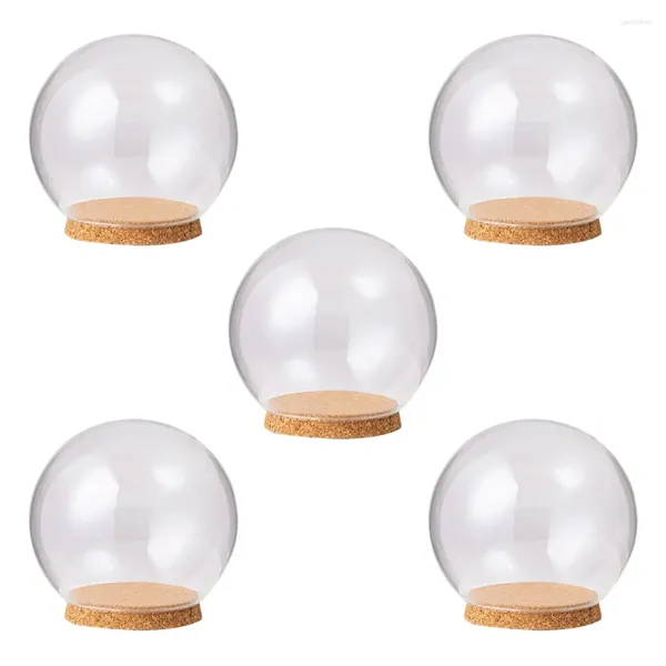 Flores decorativas 5 pcs exibir tela decoração infantil aquário de aquário de vidro globo cúpula adorno