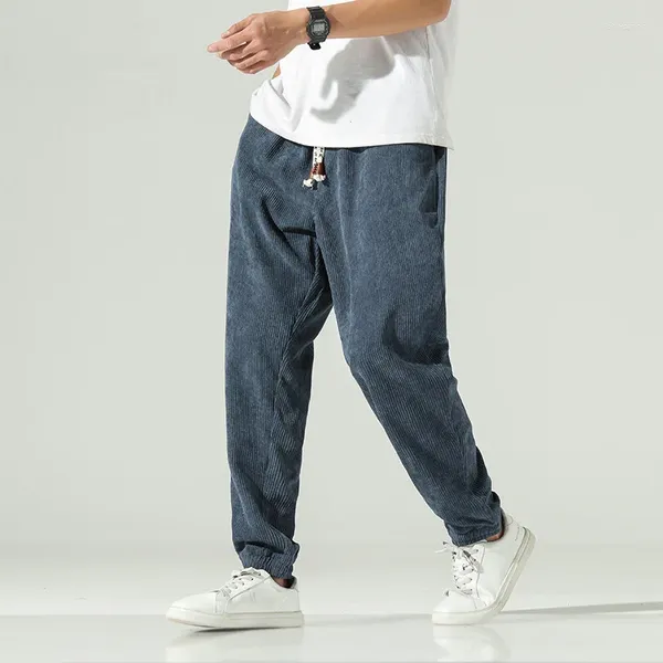 Pantaloni da uomo 2023 autunno cinese vento lampada nucleo peluche Casual tinta unita allentato giapponese moda retrò piccoli piedi