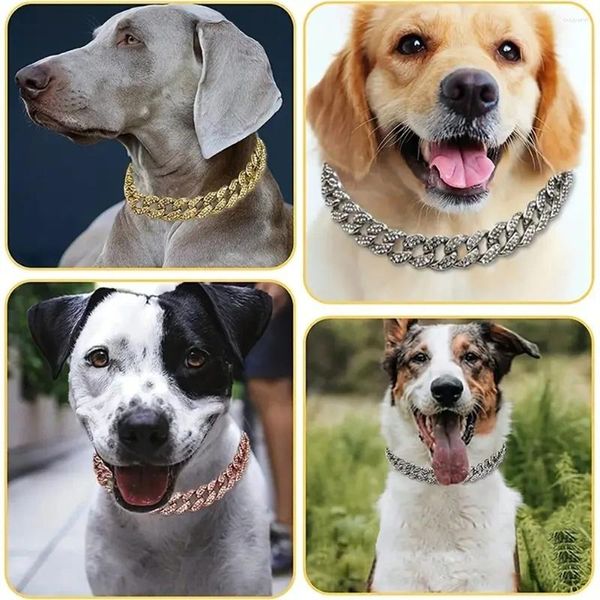 Vestuário para cães Sweethome Pet Luxury Cuban Link Collar com fivela segura colar acessórios de jóias para cães gato