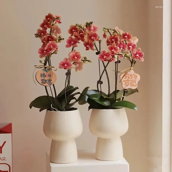 Vasos nórdico criativo alto pé simples vaso de cerâmica luz luxo sentido arco orquídea especial pequeno vaso de flores