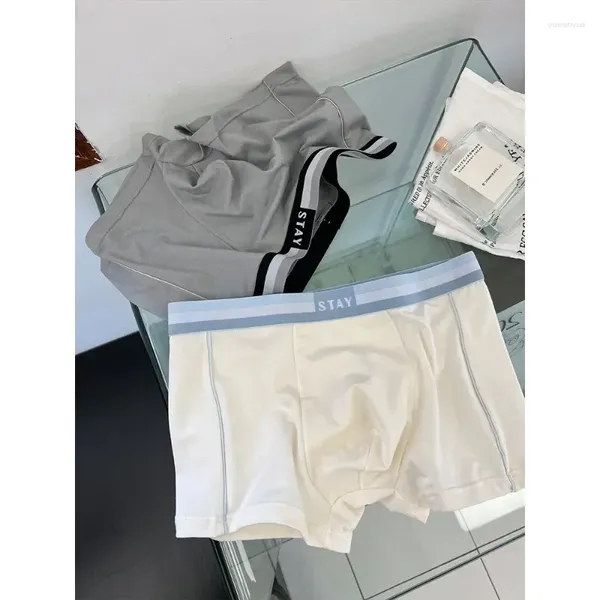 Cuecas masculinas devem ter tamanho esportes simples 80 fibra reciclada algodão respirável absorção de suor quadrado boxer briefs para homem