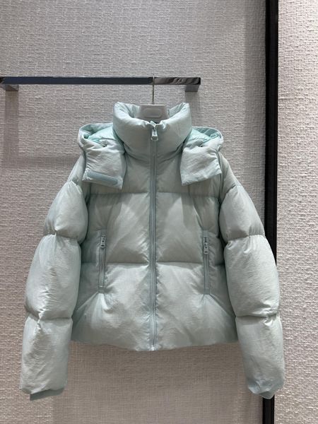 Milan runway feminino para baixo parkas 2023 novo inverno com capuz manga longa marca mesmo estilo casacos jaquetas de grife feminino 1202-6