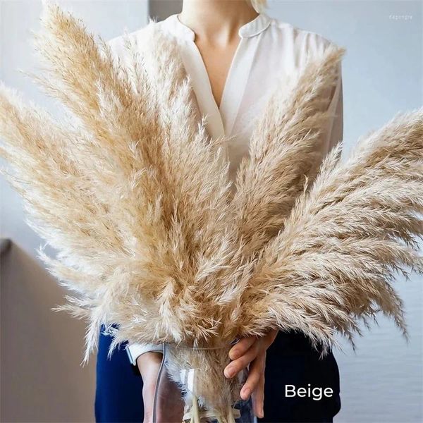 Flores decorativas 10 pçs pampas grama grande alto fofo natural flor seca boho decoração reed para enchimento de vaso fazenda casa casamento