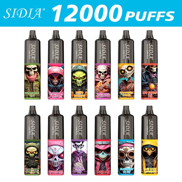 SIDIA Puff 12000 – Wiederaufladbarer Einweg-Vaporizer mit Keramikspule, Puff 12k, 650-mAh-Akku und vorgefüllten 20-ml-Pods. 0 % 2 % 3 % 5 % Optionen 12K/10K/9K Puff Vape Kit