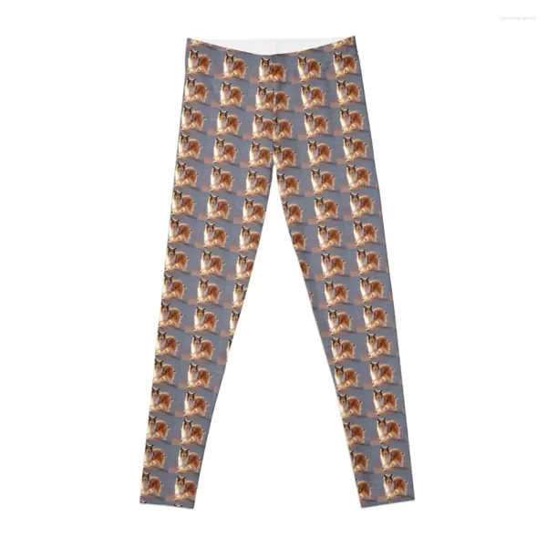 Calças ativas Golden Glow Collie Leggings Gym Woman Sport Shoes Mulheres