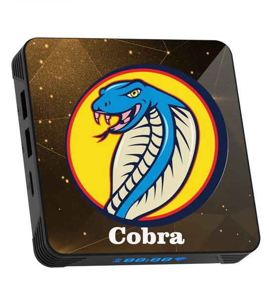 Cobra Server 4K HD 1/3/6/12 Ay Android TV Kutusu STB