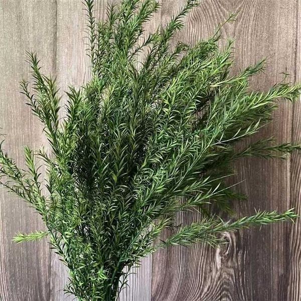 30-45cm 70g real seco natural preservado melaleuca decorativo grama eterna para sempre plantas secas frescas para decoração de natal 2110230y