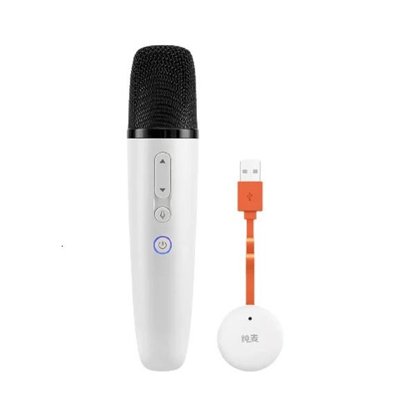 Mikrofone Puremic Wireless-Mikrofon mit Empfänger speziell für BYD Vision Originalverkauf 231204
