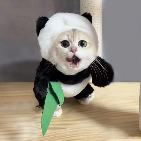 Vestuário de cão Panda COS Pet Costume Cães Gatos Roupas Natal Dress-up Adequado para ambos os pequenos animais de estimação Bonito Peruca Fontes de festa e acessórios 231205