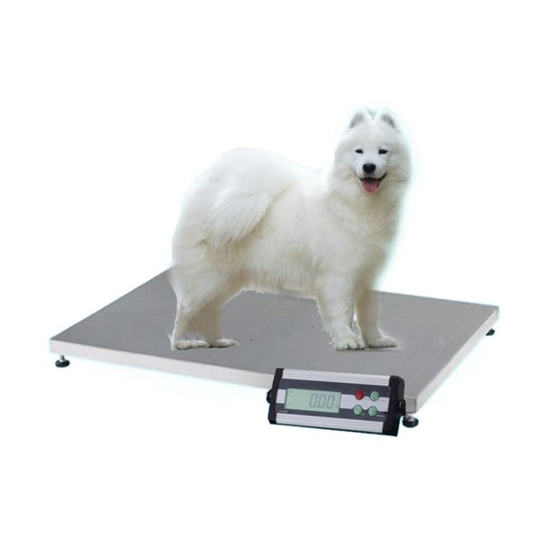 150 kg/50g Haustier Waage Edelstahl Haustier Elektronische Waage Große Haustier Hund Gewicht Elektronische Wiegen Für Pet krankenhaus Katze Shop