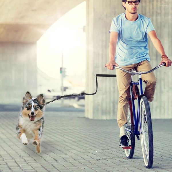 Trasportino per cani Guinzaglio per bici Imbracatura Equitazione Animali domestici Tirare la corda Trasporto all'aperto Forniture per passeggiate Tira piccolo