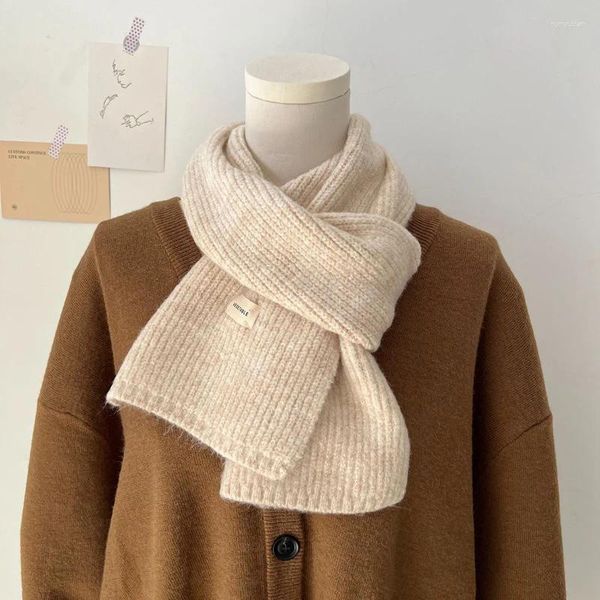 Sciarpe Sciarpa da donna Inverno caldo cashmere di dimensioni lunghe ispessito coreano casual all'aperto termico da uomo nero regali di Natale