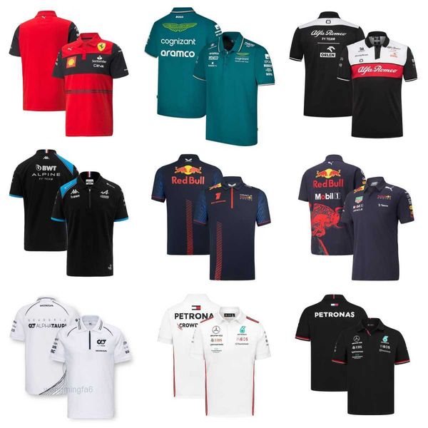 Camisetas masculinas ao ar livre F1 Racing Polo Shirt Novo terno de motocicleta respirável secagem rápida em torno do pescoço de manga curta montanha off-road top 0ib3